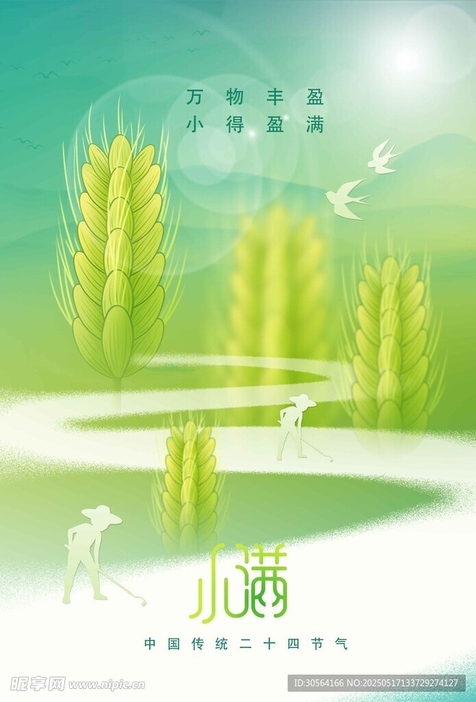 小满节气海报