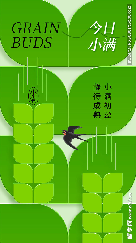 小满节气海报