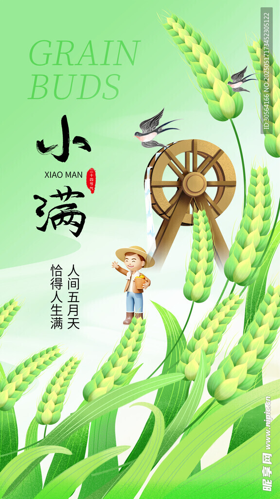 小满节气海报