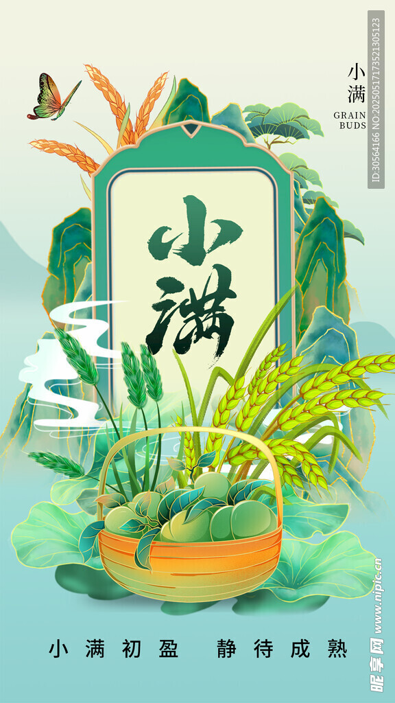 小满节气海报