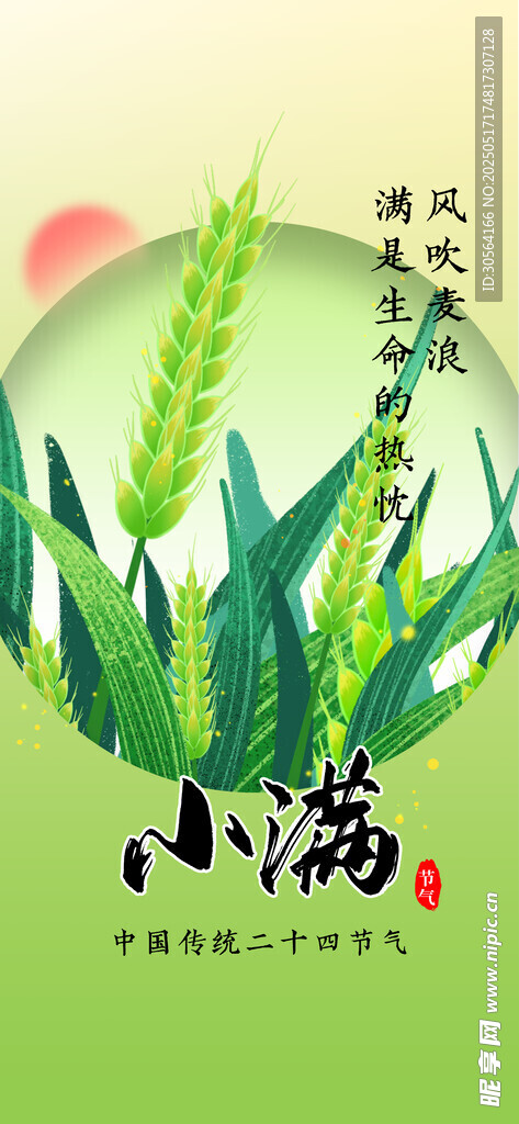 小满节气海报
