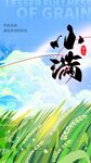 小满节气海报