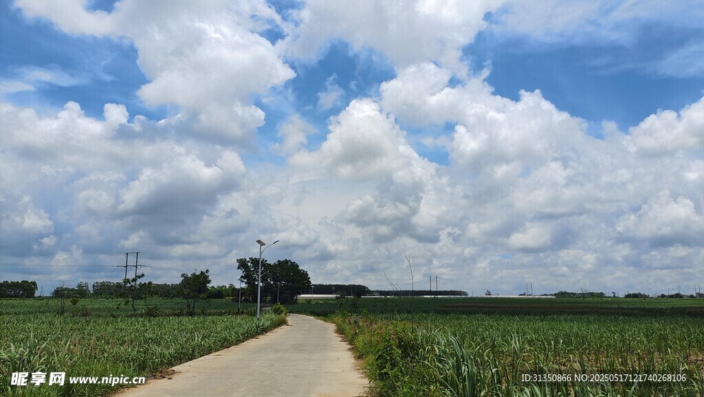 乡间小路穿行绿野蓝天