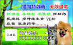 猫狗宠物食品促销海报