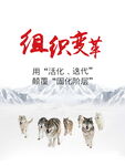 组织变革 激活团队新力量