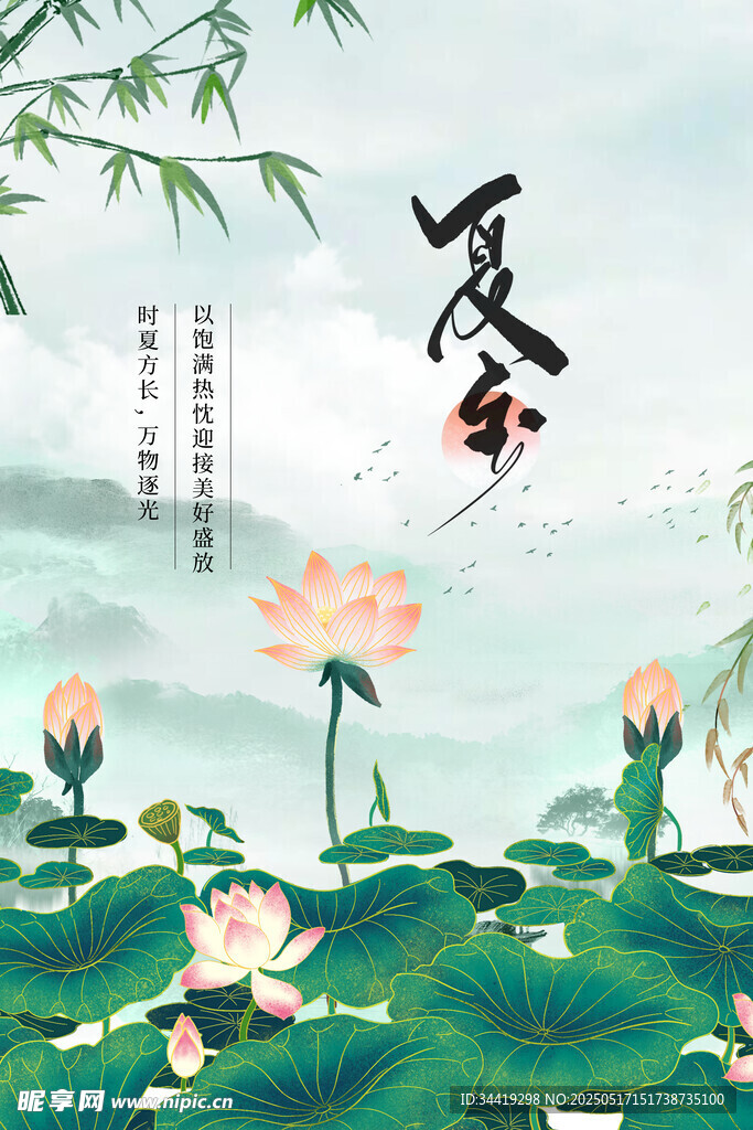 夏至荷塘景色
