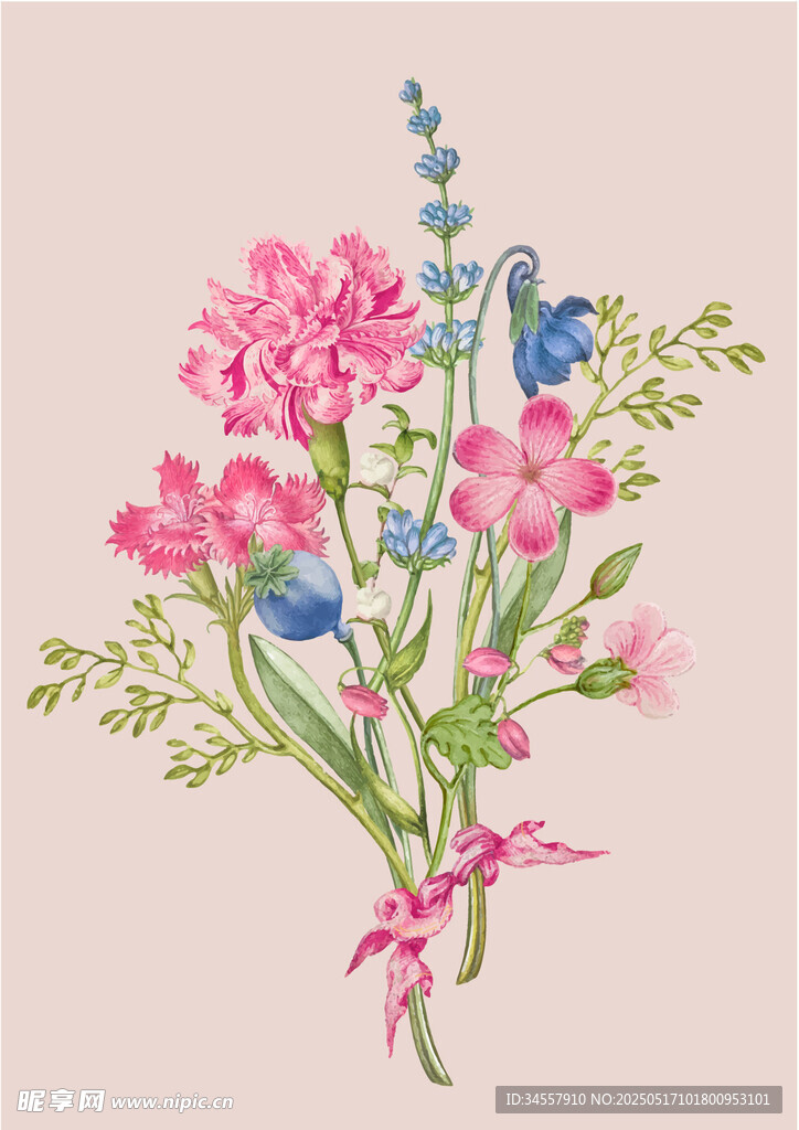 复古插画花