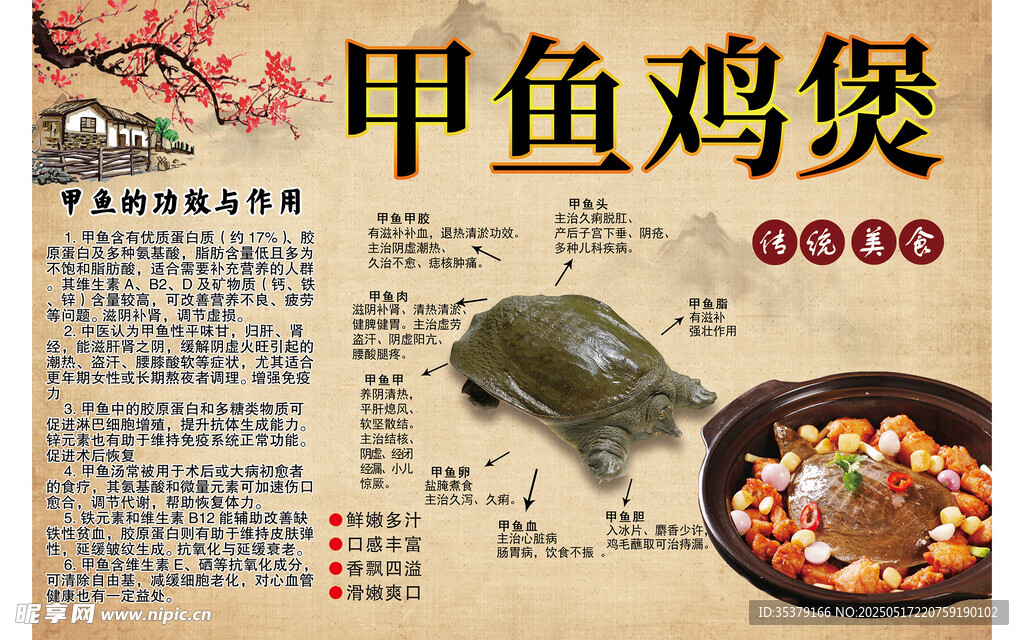美味甲鱼鸡煲
