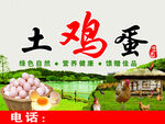 农家土鸡蛋 新鲜营养美味