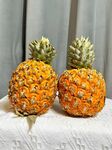 菠萝
