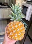 菠萝