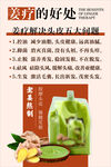 生姜疗效海报