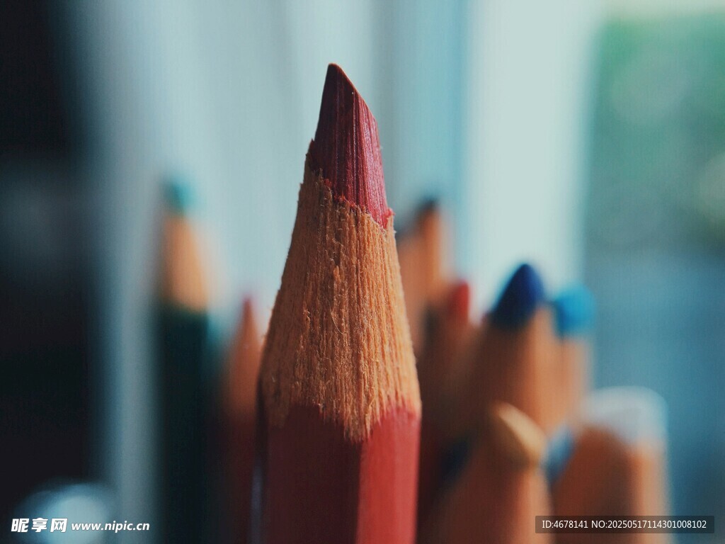 彩色铅笔特写
