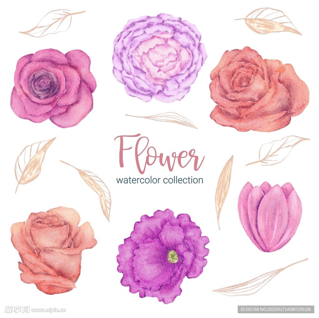 水彩花卉插画素材