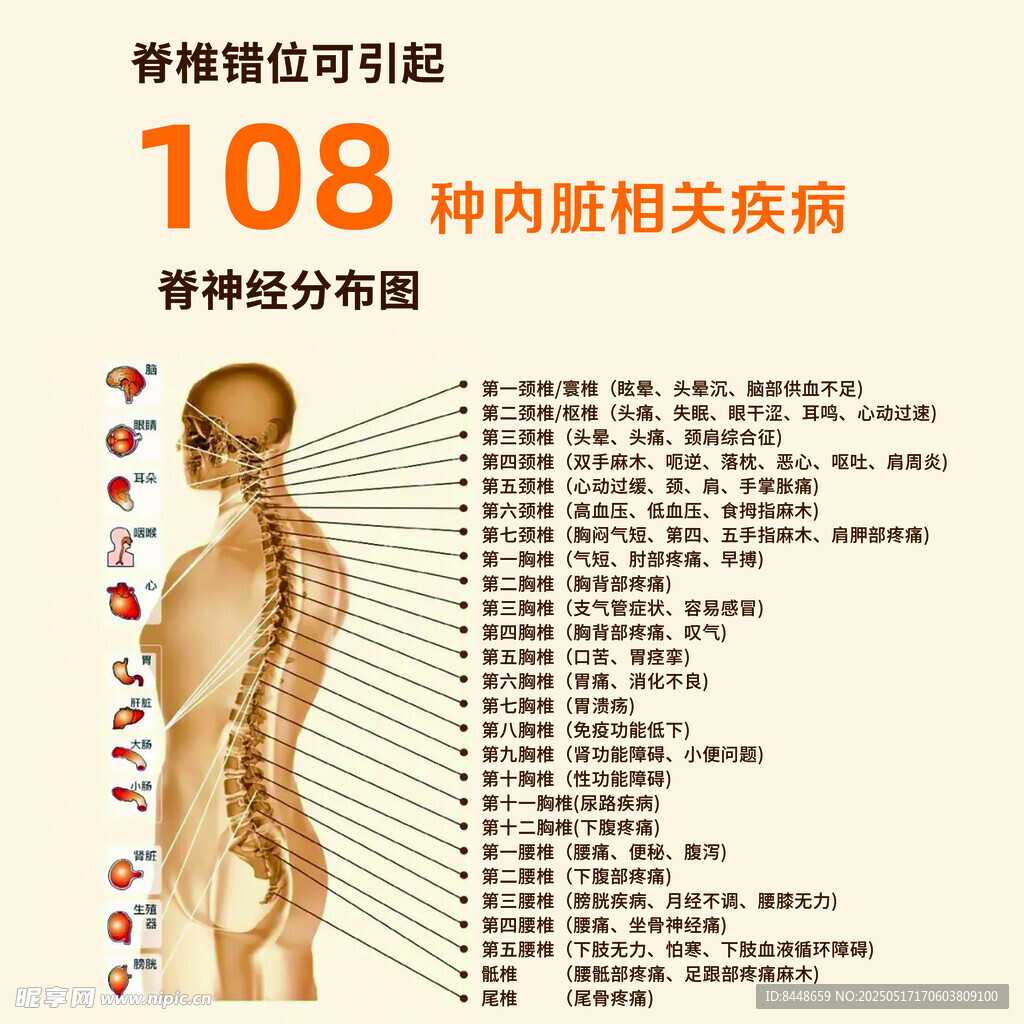 108种内脏相关疾病图示