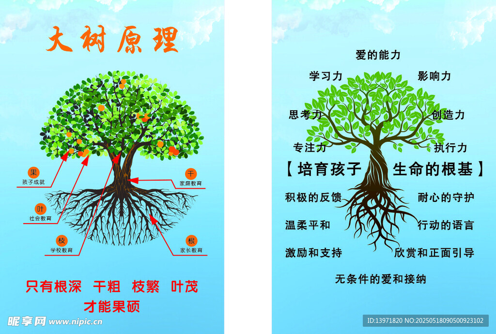 大树原理图示讲解