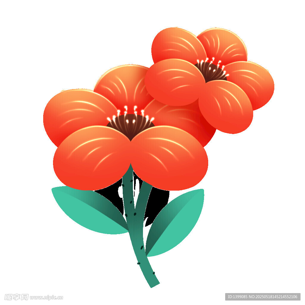 红色植物鲜花橙色花朵插画