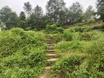 山间小路