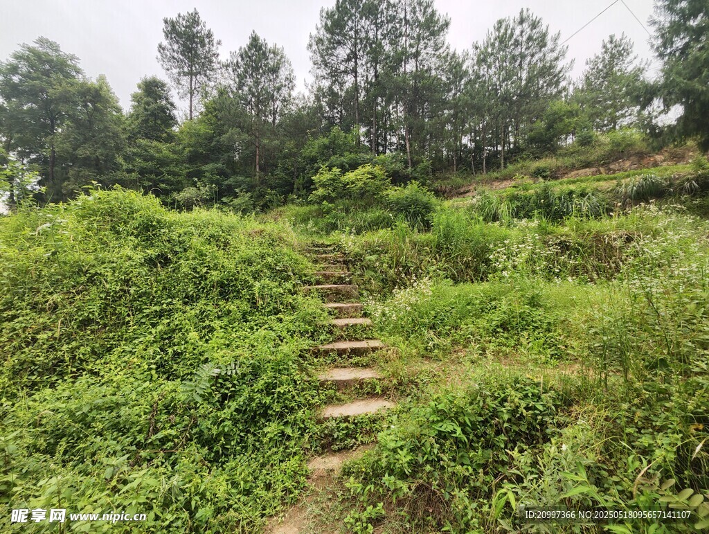 山间小路