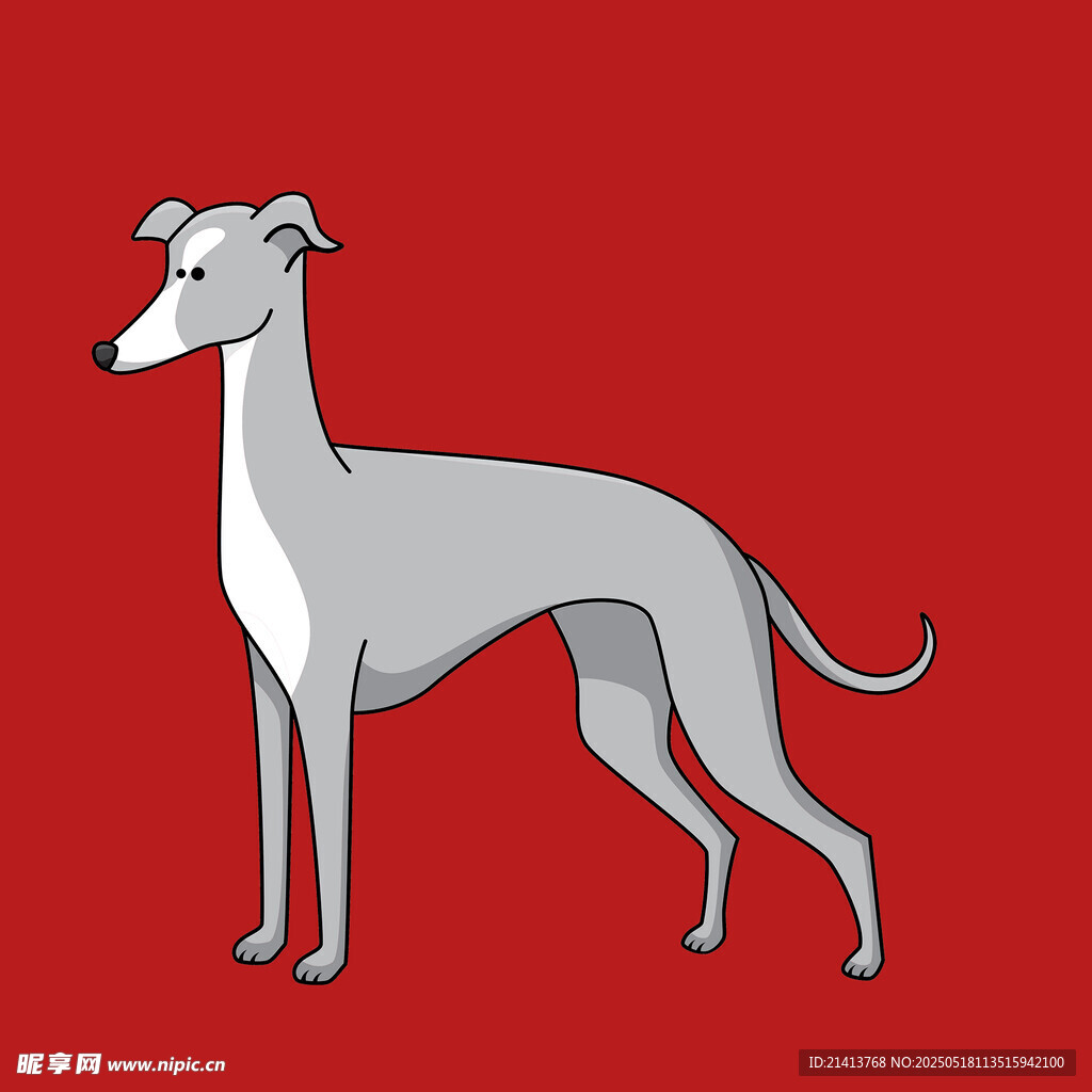 站立的灰白色灵缇犬
