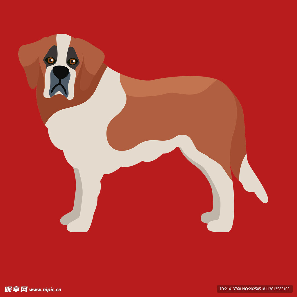 站立的圣伯纳犬插画