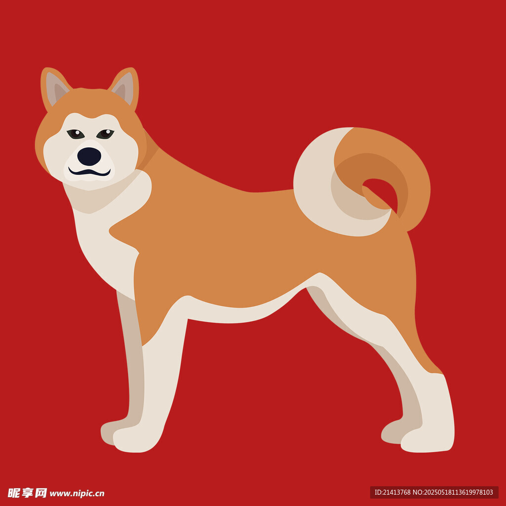 站立的柴犬插画形象