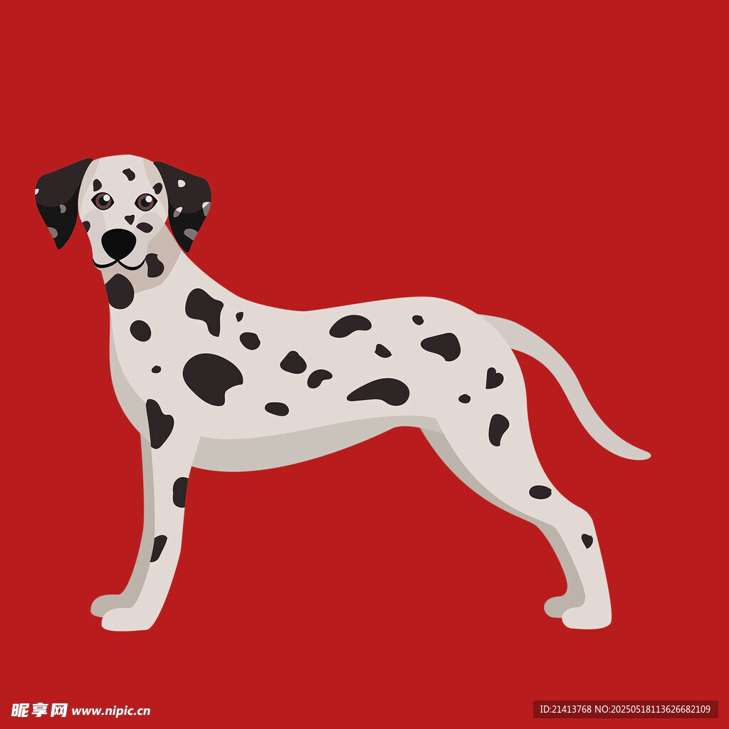 斑点狗插画