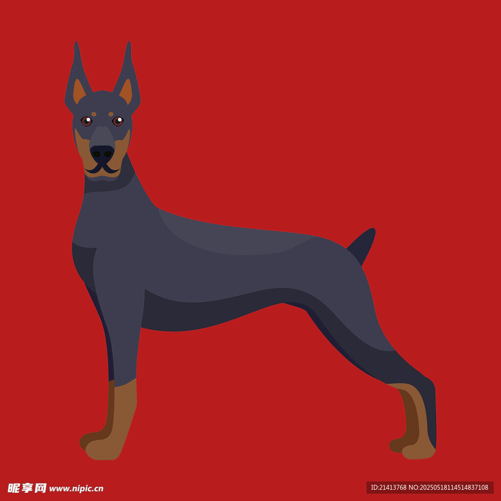 红色背景上的杜宾犬插画