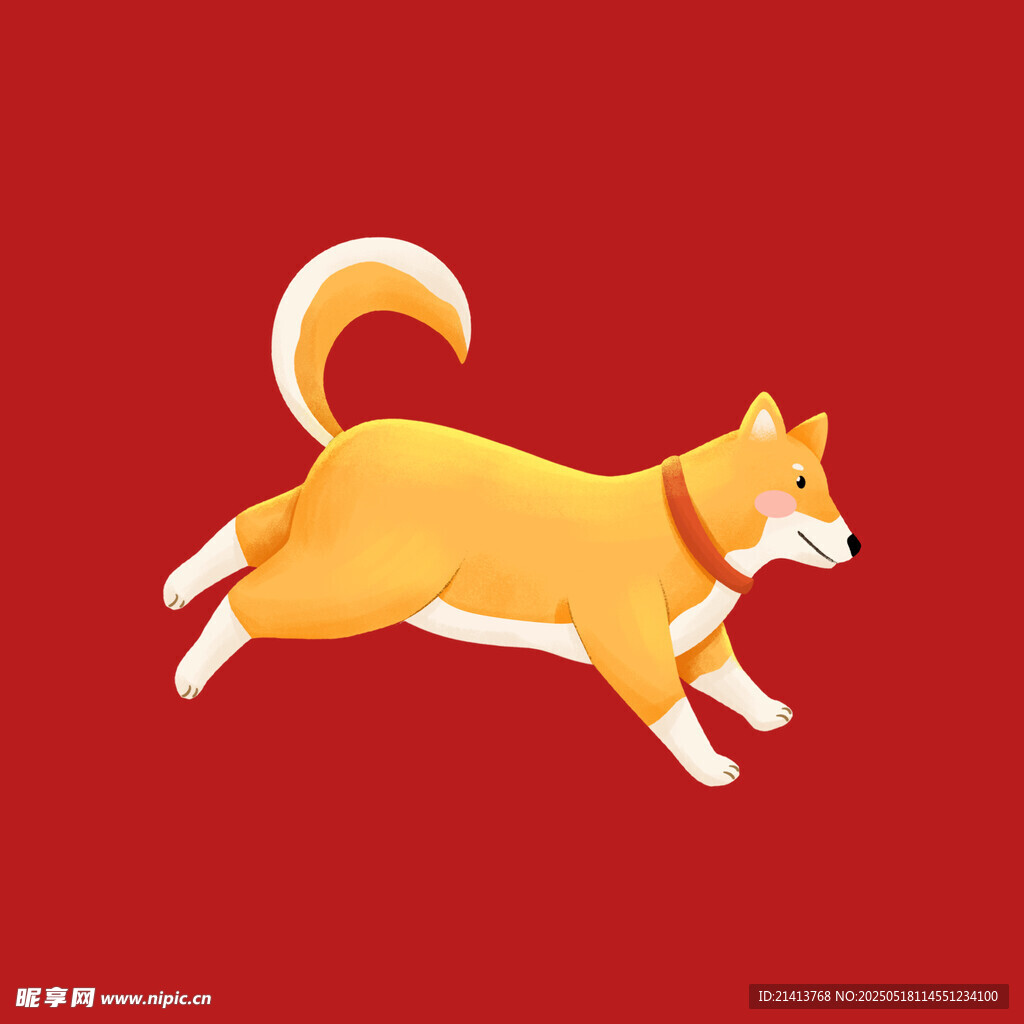 奔跑的可爱柴犬
