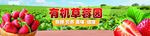 草莓园