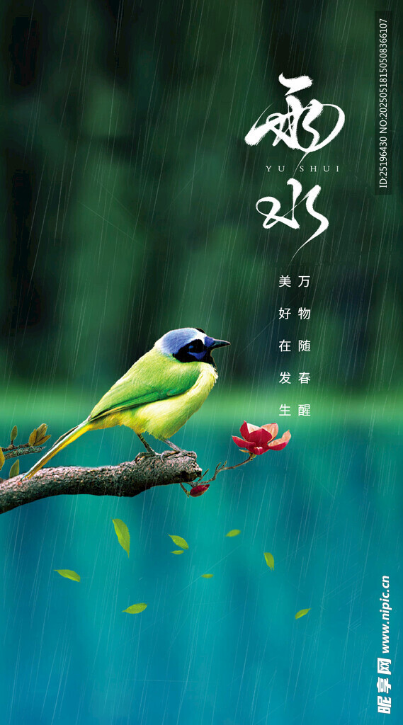 雨水节气海报