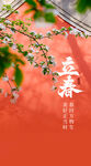 立春节气海报