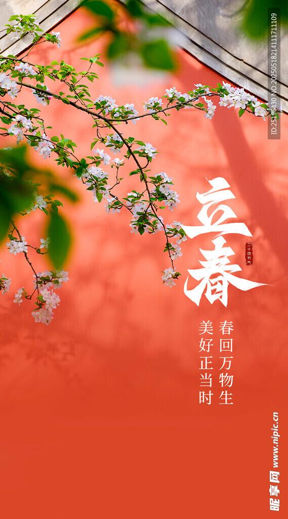立春节气海报