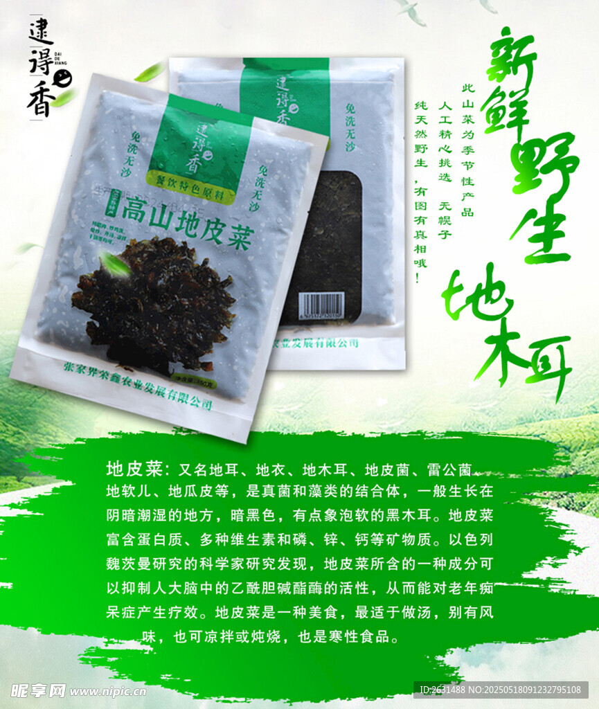 地皮菜详情图