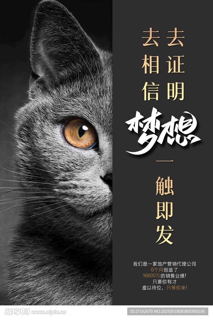 梦想一触即发