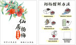 杨梅保鲜卡