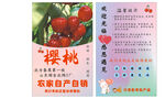 樱桃售后卡
