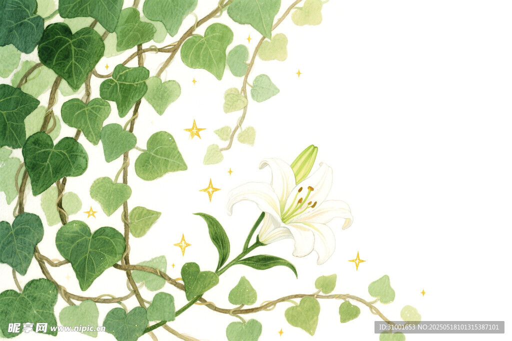 藤蔓绿植清新自然画面
