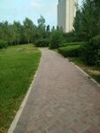 路
