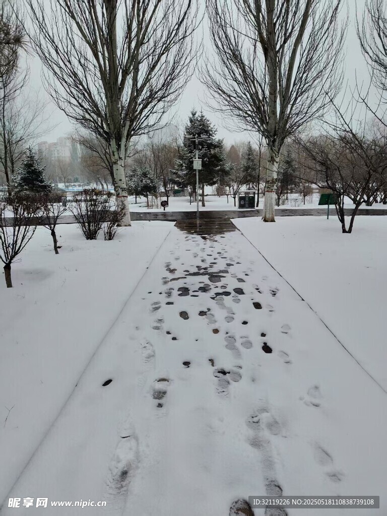 路