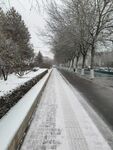路