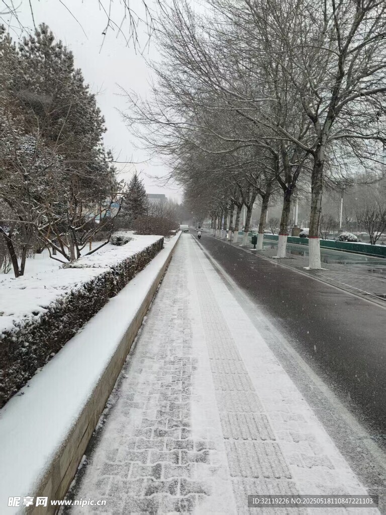 路