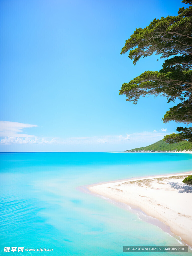 海滩 海水