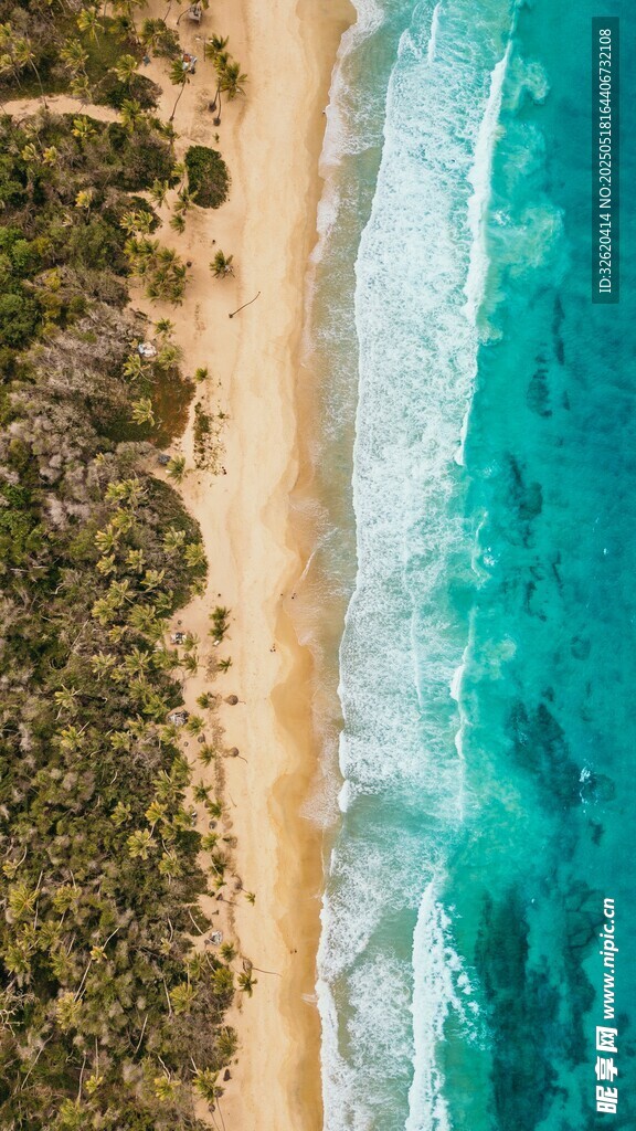 海滨 沙滩
