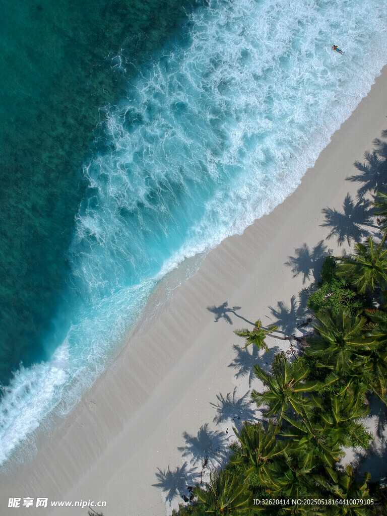 海滨 沙滩