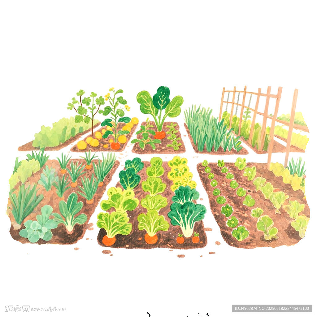 手绘插画菜园子免抠元素