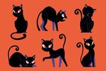可爱黑猫姿态集合