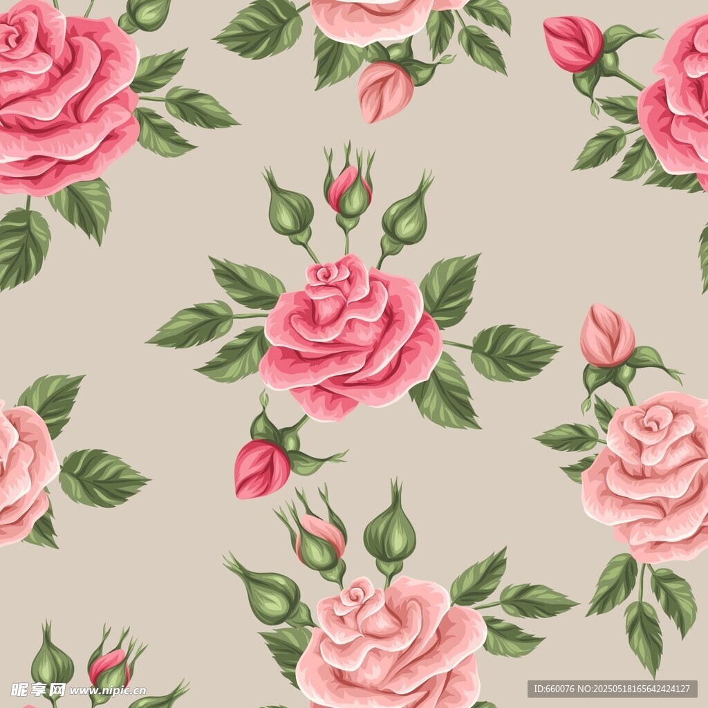 玫瑰 花朵 图案 背景 矢量 
