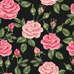 玫瑰 花朵 图案 背景 矢量 