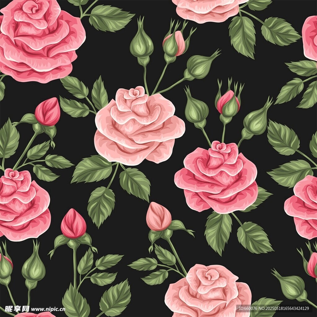 玫瑰 花朵 图案 背景 矢量 